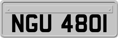 NGU4801