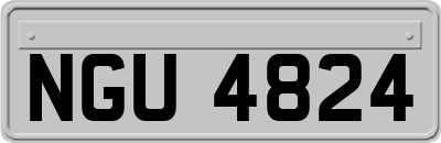 NGU4824