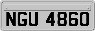 NGU4860