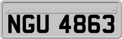 NGU4863