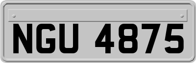 NGU4875
