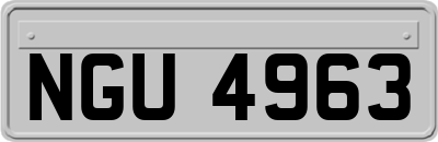 NGU4963