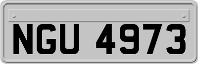 NGU4973