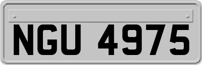 NGU4975