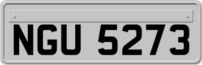NGU5273