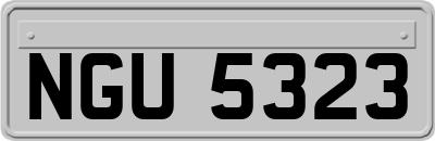 NGU5323
