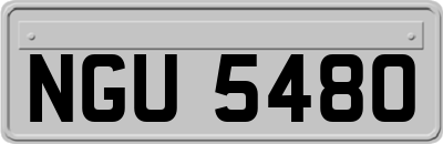 NGU5480