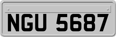 NGU5687