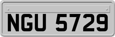 NGU5729