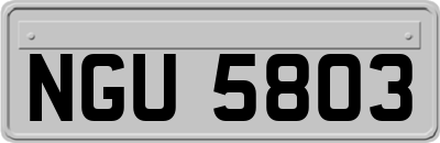 NGU5803
