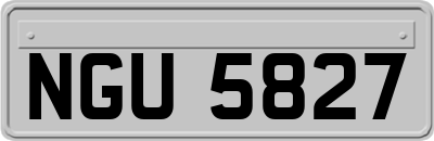 NGU5827