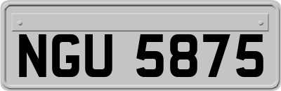 NGU5875