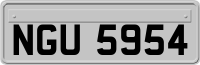NGU5954