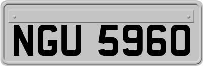 NGU5960