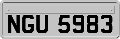 NGU5983