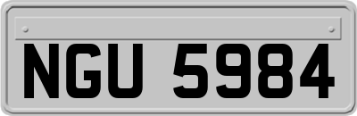 NGU5984