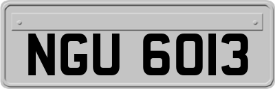 NGU6013