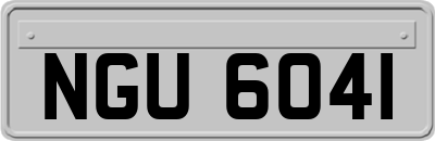 NGU6041