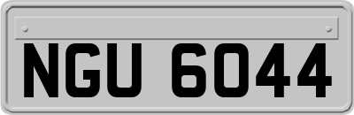 NGU6044