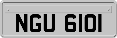 NGU6101