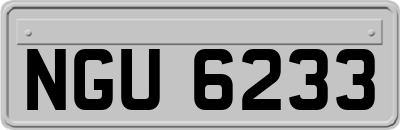 NGU6233