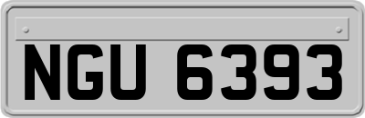 NGU6393