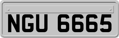 NGU6665
