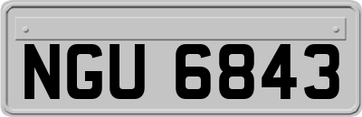 NGU6843