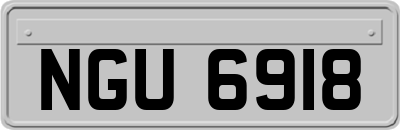 NGU6918