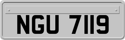 NGU7119