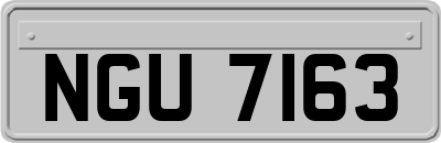 NGU7163