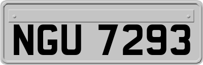 NGU7293