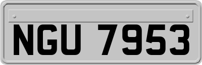 NGU7953