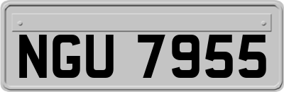NGU7955