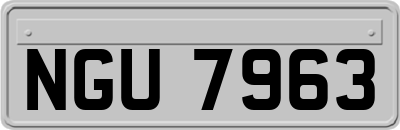 NGU7963