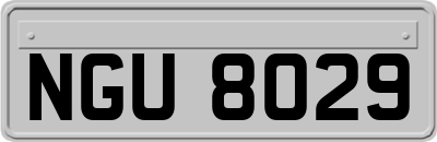 NGU8029