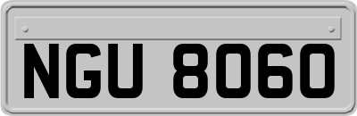 NGU8060