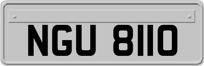 NGU8110