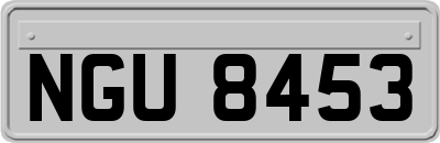 NGU8453
