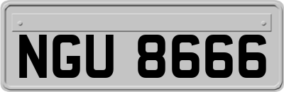 NGU8666