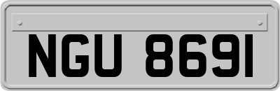 NGU8691
