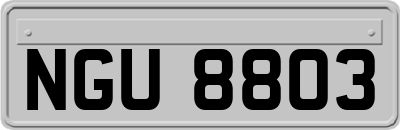 NGU8803