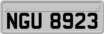 NGU8923