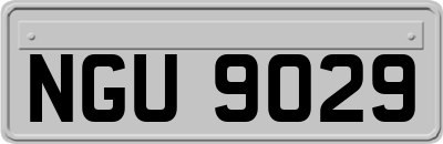 NGU9029