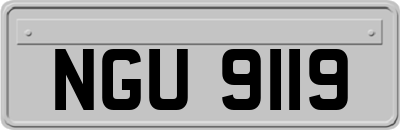 NGU9119