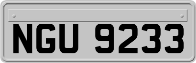 NGU9233