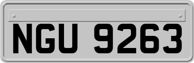 NGU9263