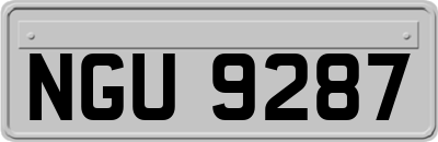 NGU9287