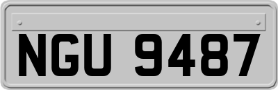 NGU9487