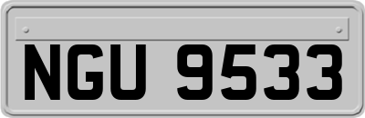 NGU9533